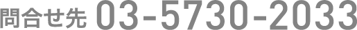 問合せ先 03-5730-2033